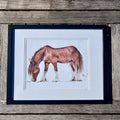 Clydesdale Art Print