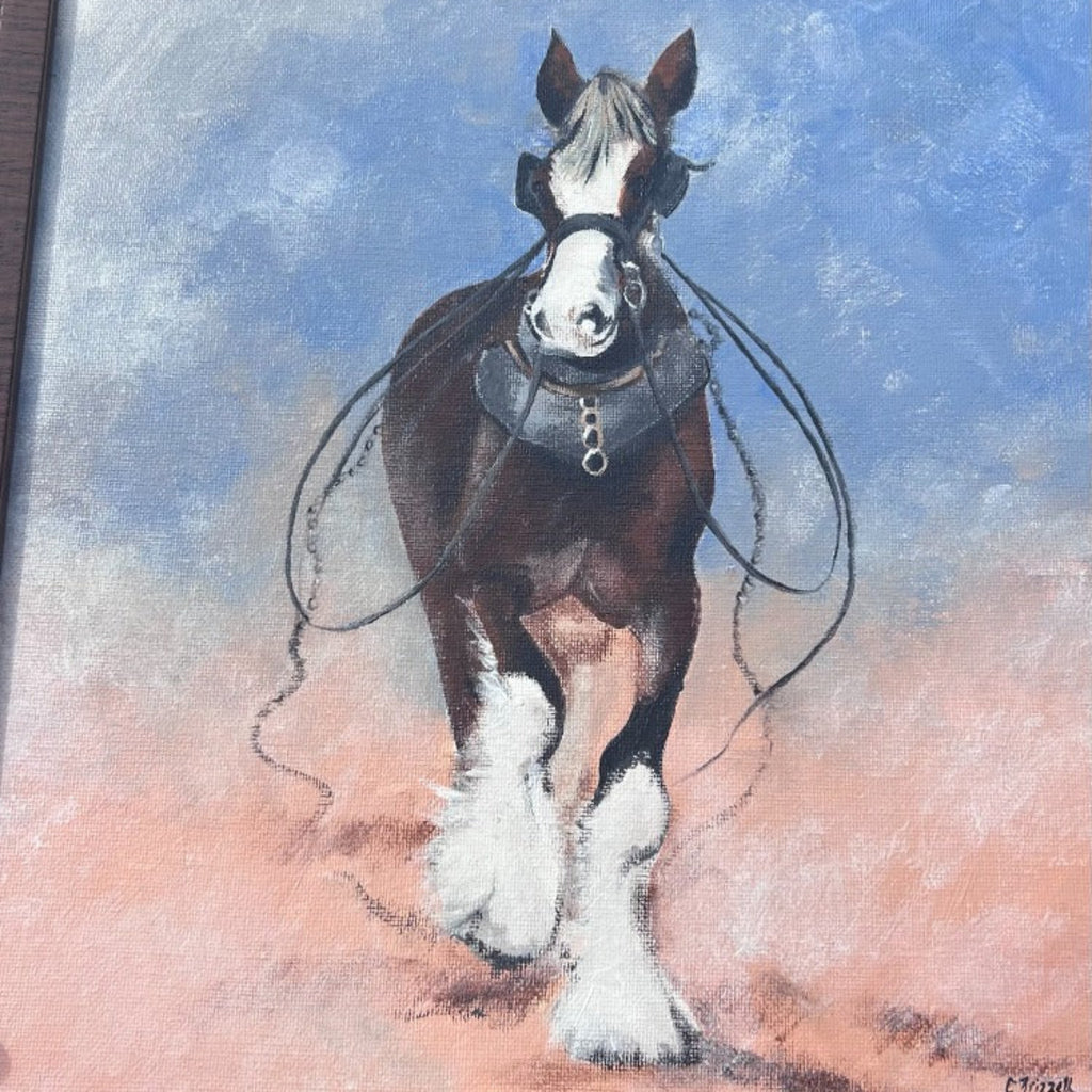 Clydesdale Original Art