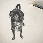 Dogue Tea Towel