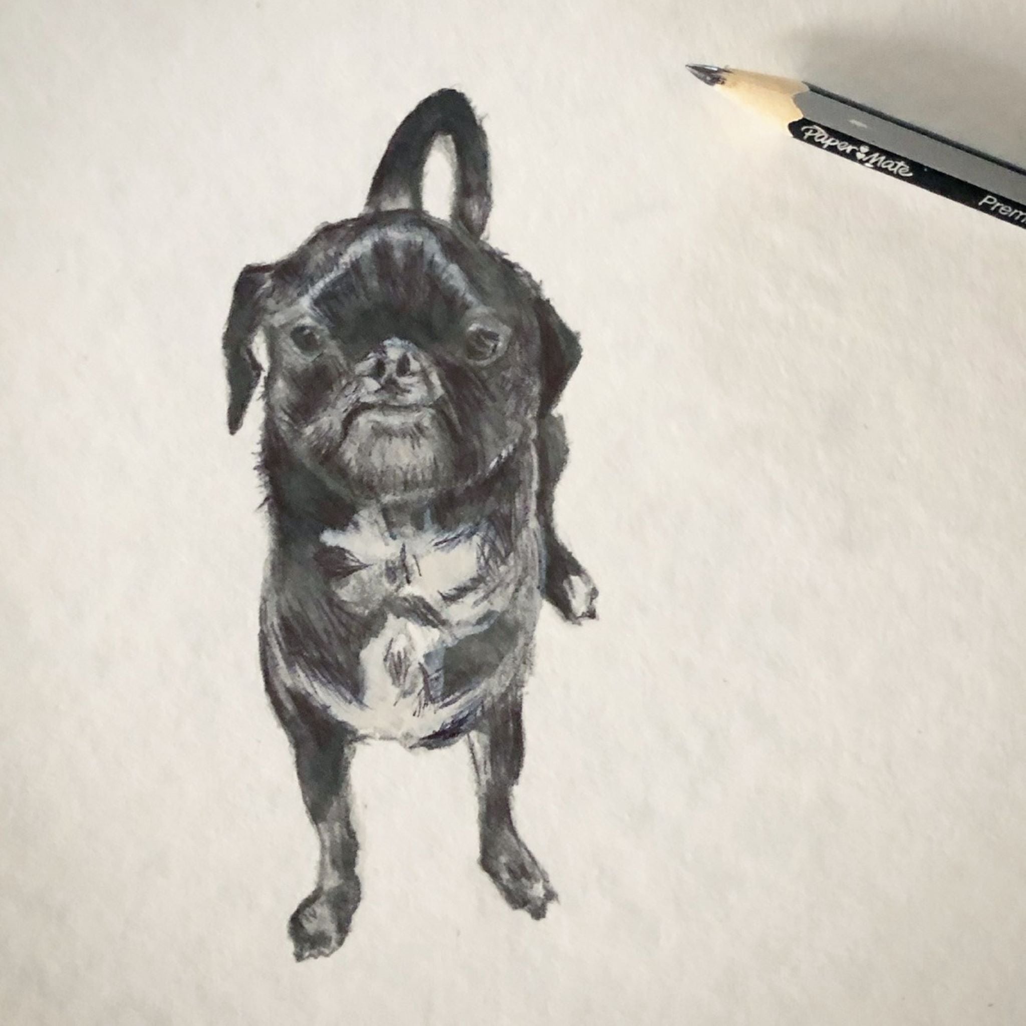 Dogue Tea Towel