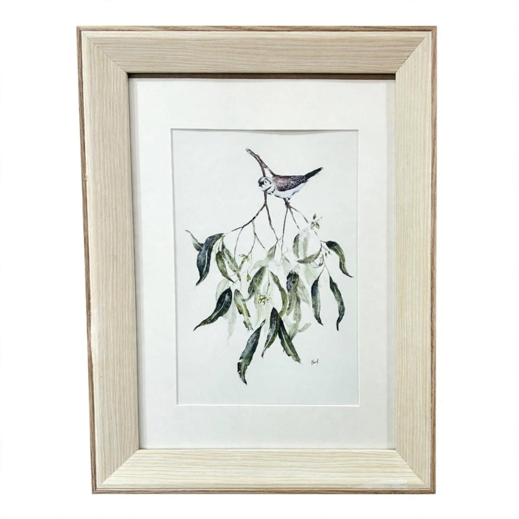 Double Barred Finch with Eucalyptus Art Print