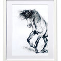 Monochrome Horse