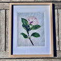 Hydrangea  Floral Art Print