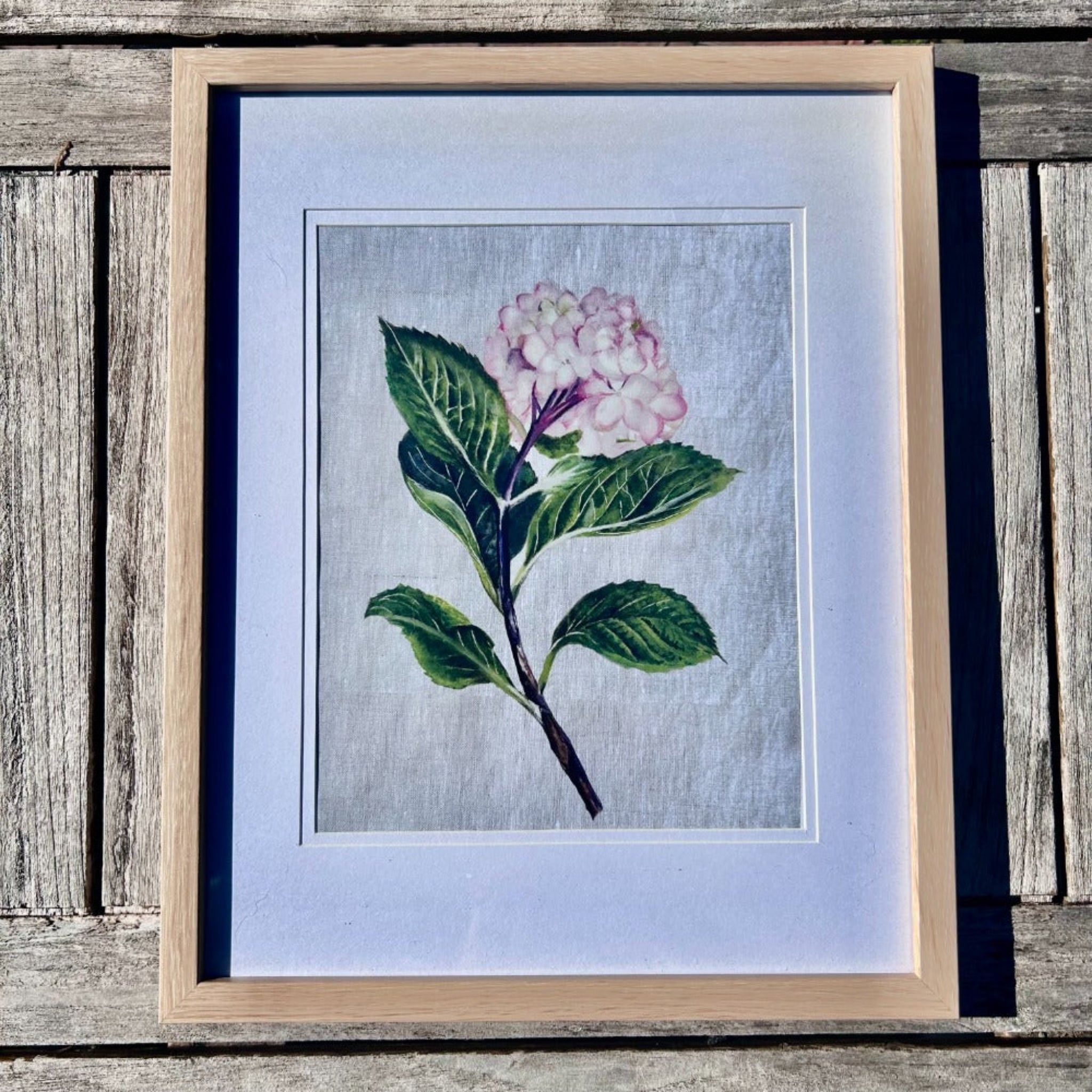 Hydrangea  Floral Art Print