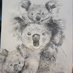 Koala Tea Towel - Coming Soon ETA October 26
