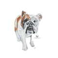 Lucy Tea Towel - Coming soon (ETA Sept 26)