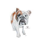 Lucy Tea Towel - Coming soon (ETA Sept 26)