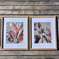 Hydrangea and Butterfly Floral Art Print Set