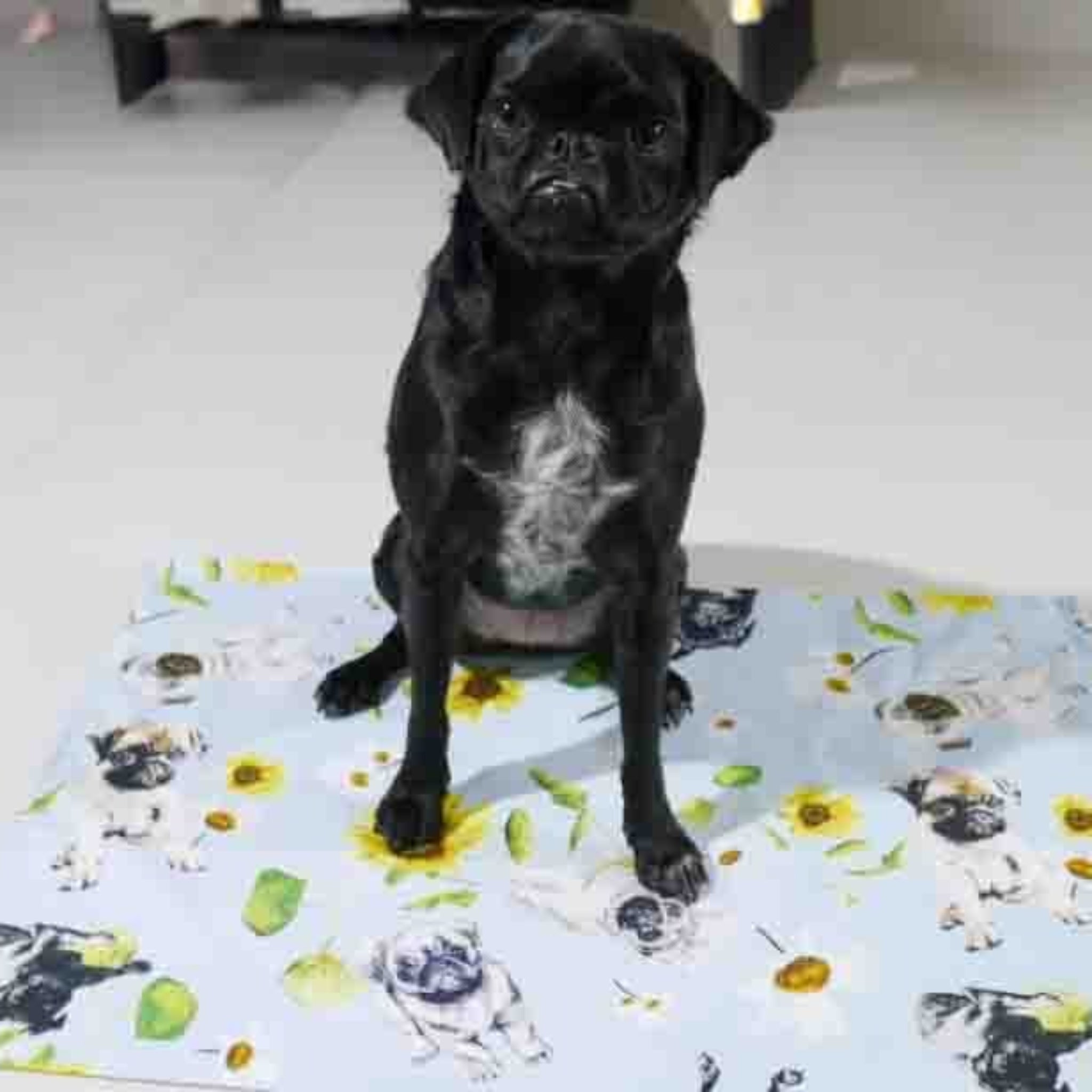 Pugs and Sunflowers Runner