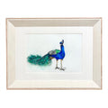 Peacock Original Art