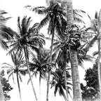Monochrome Palms Tablecloth -coming soon (ETA Sept 26)