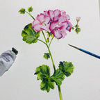 Geranium waffle Tea Towel - Coming soon (ETA Sept 26)